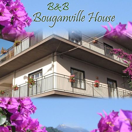 Bouganville House Zafferana Etnea Exterior foto